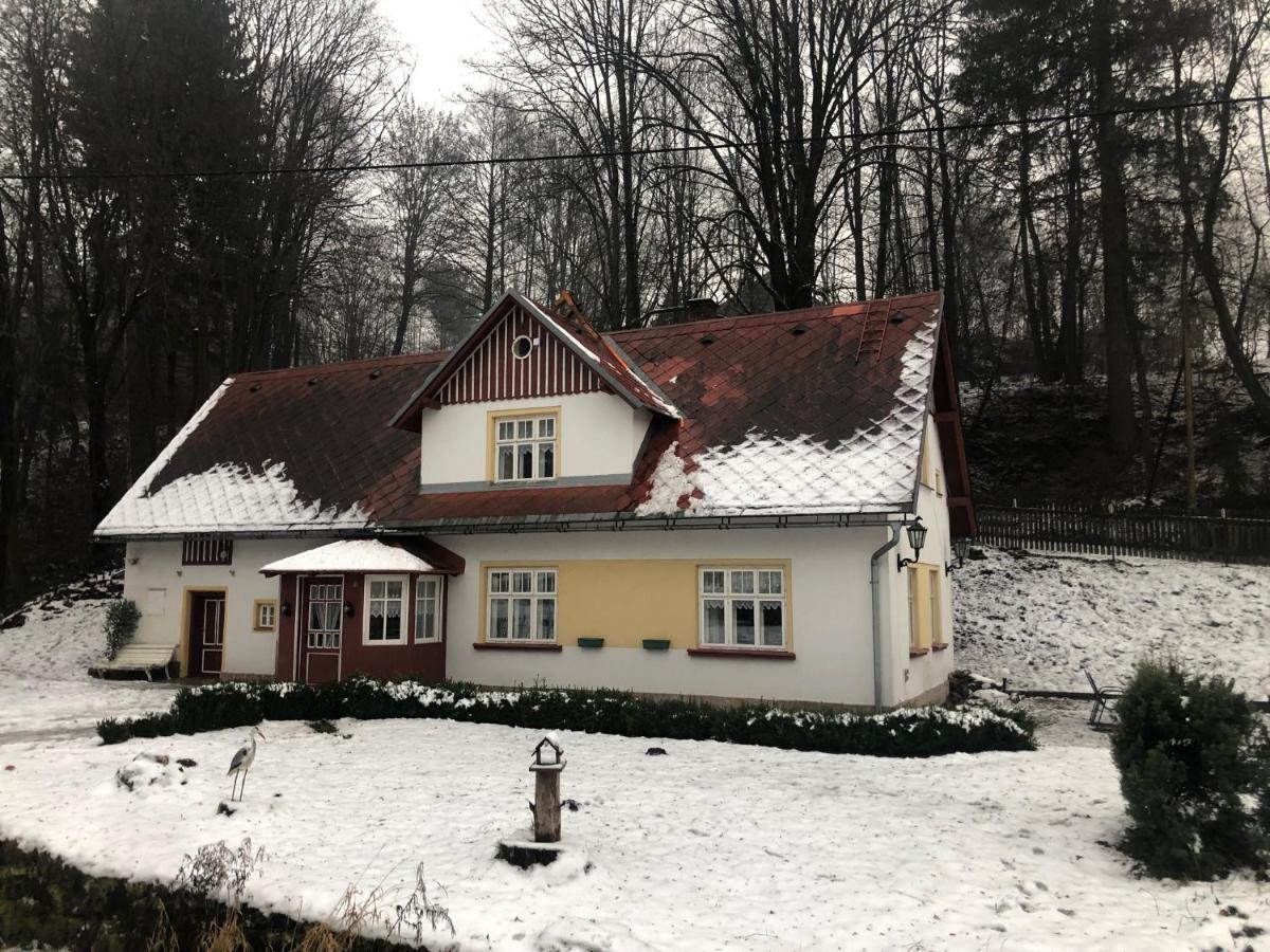 Adelle Cottage In Krkonose National Park Rudník エクステリア 写真