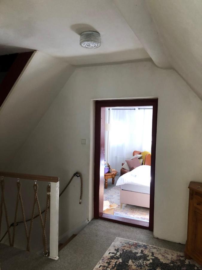 Adelle Cottage In Krkonose National Park Rudník エクステリア 写真