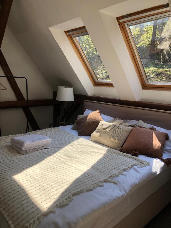 Adelle Cottage In Krkonose National Park Rudník エクステリア 写真